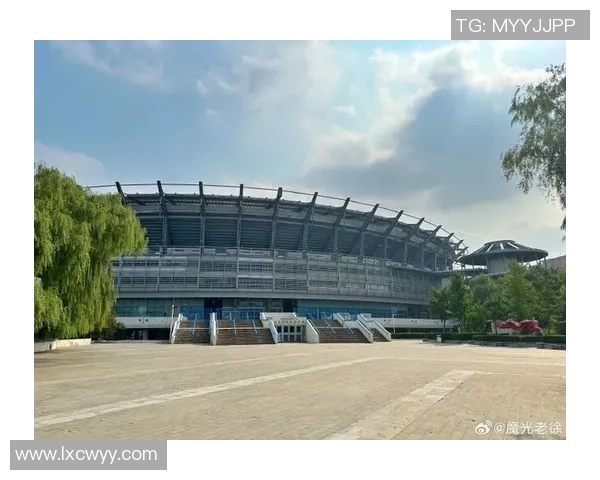 单日4金!憋了7天,浙江游泳队总算在最终一天迸发